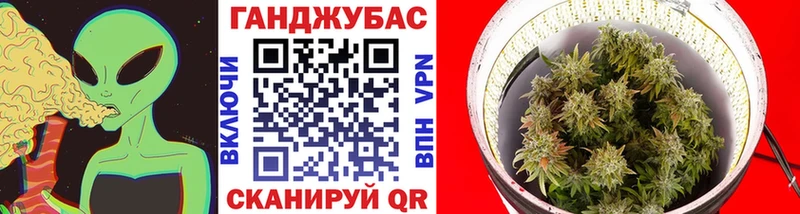Магазин наркотиков Новоузенск КОКАИН  А ПВП  ГАШИШ  Каннабис  Галлюциногенные грибы  МЕФ 
