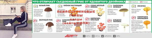 сатива Аркадак